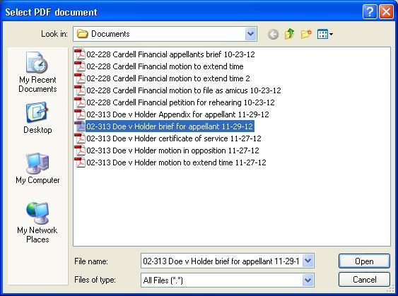 PDF Document area with one document attached