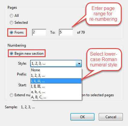 Page numbering dialog box